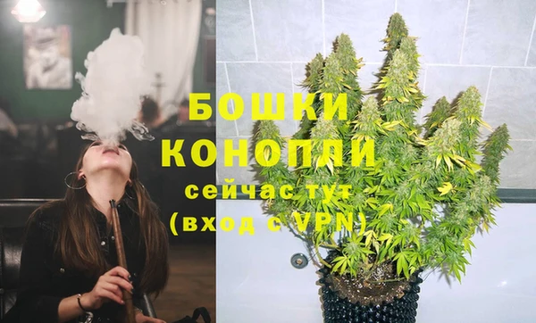дживик Осташков