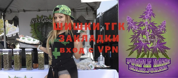 трава Пересвет