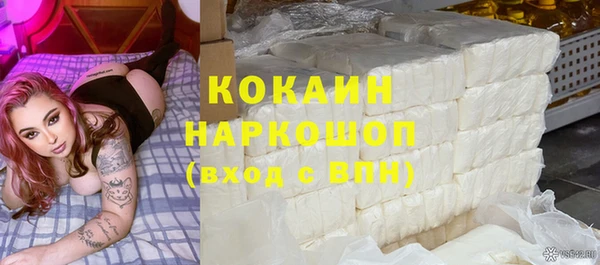 трава Пересвет