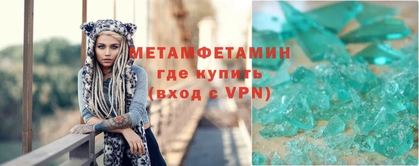ГАЛЛЮЦИНОГЕННЫЕ ГРИБЫ Осинники